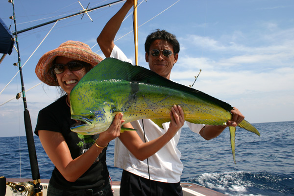 fish ao nang thailand